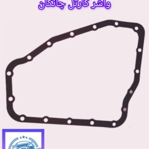 واشر کارتل چانگان
